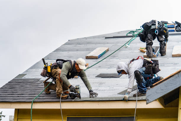 Professional Storm Damage Roof Repair technician working in Randleman, NC